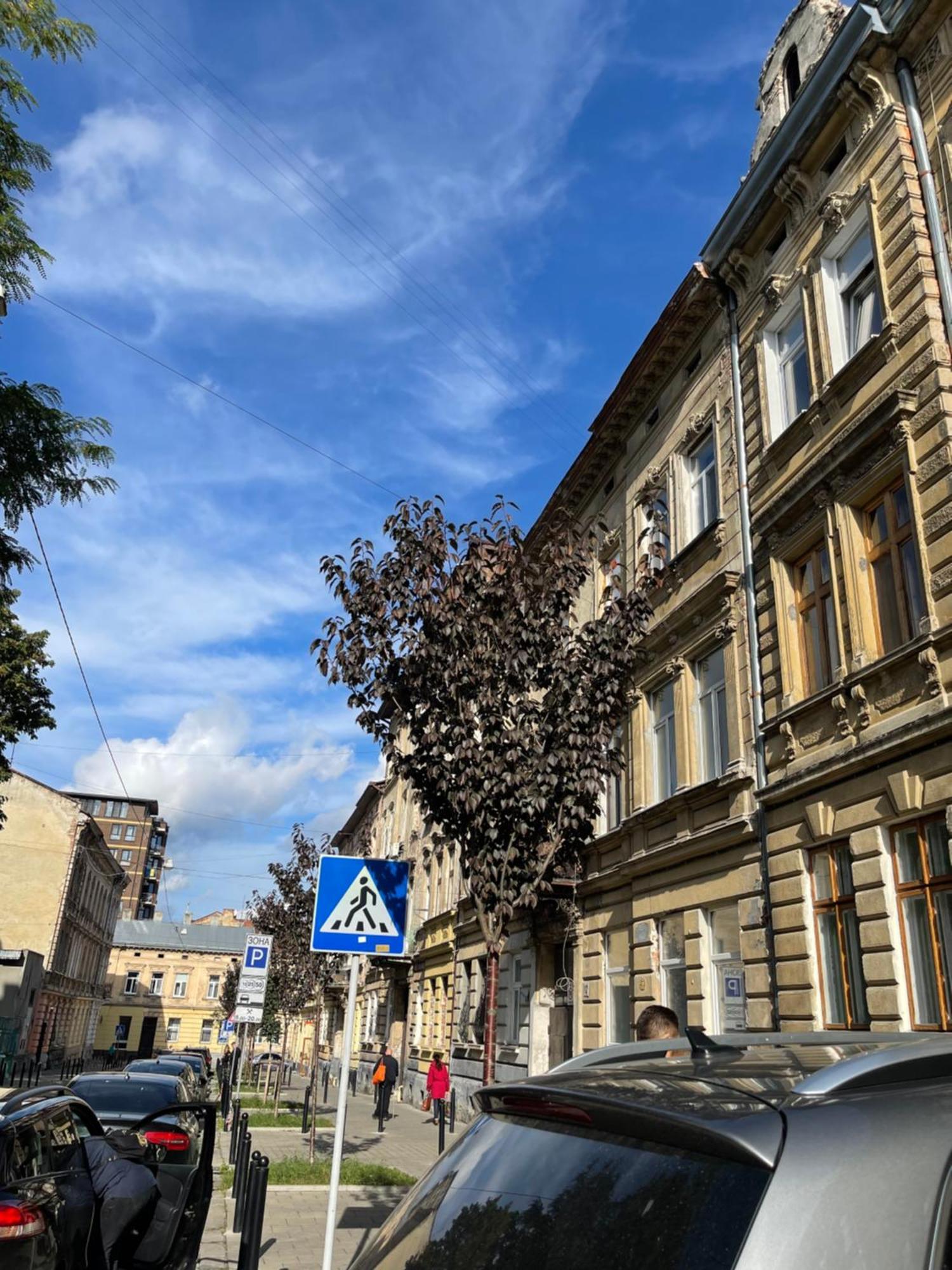 Vintage Apartment Kotlyarska10 Lviv Eksteriør bilde